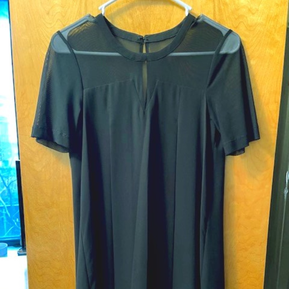 BCBG Sheer Black Short Sleeve Dress